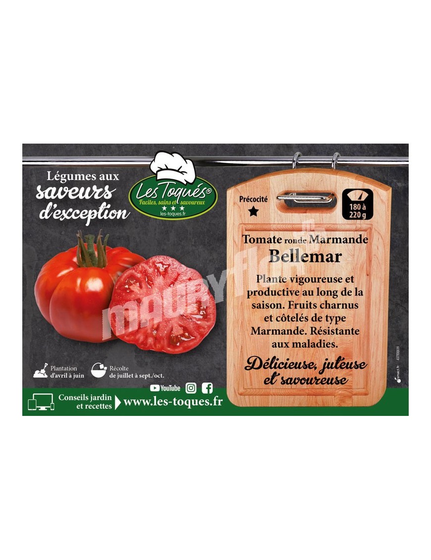 Tomate Bellemar F1