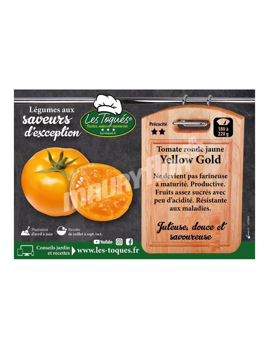 Tomate Yellow Gold F1