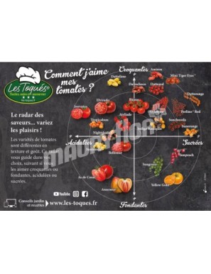 Tomate Radar Saveur