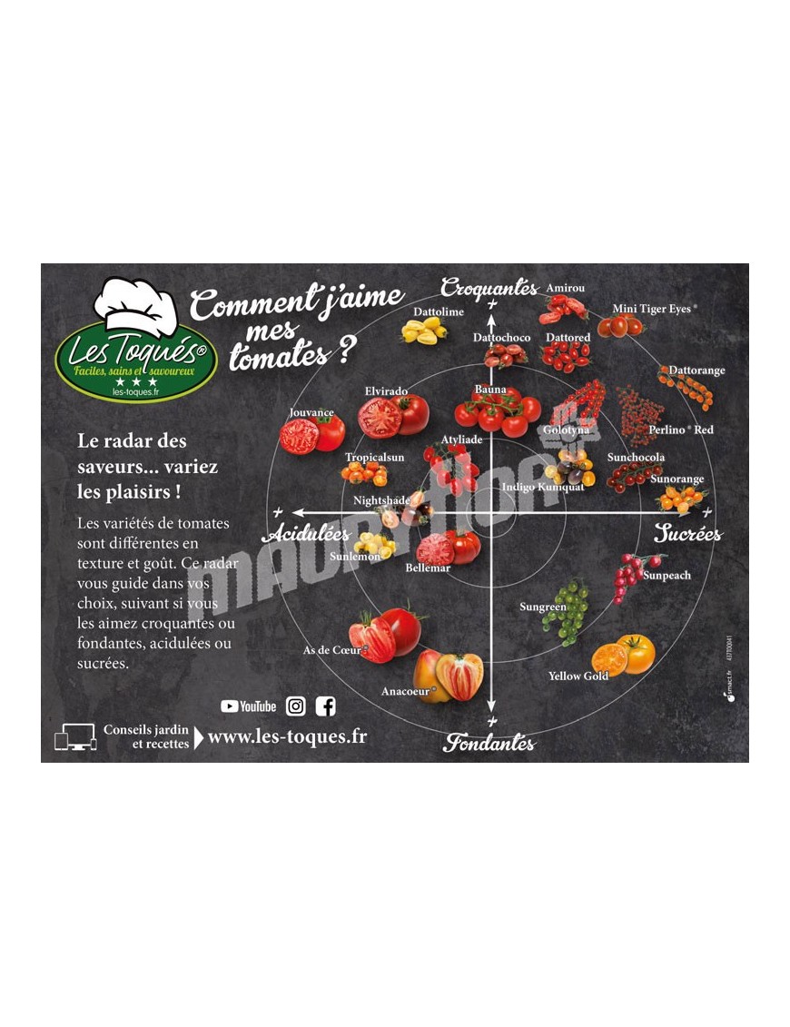 Tomate Radar Saveur