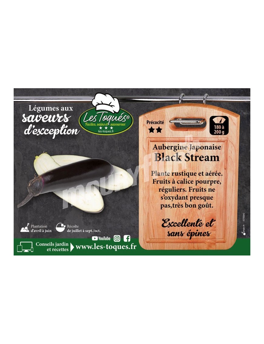 Aubergine Black Stream F1