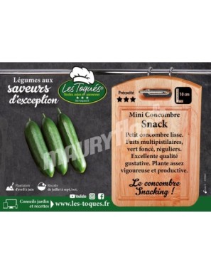 Concombre  Snack F1