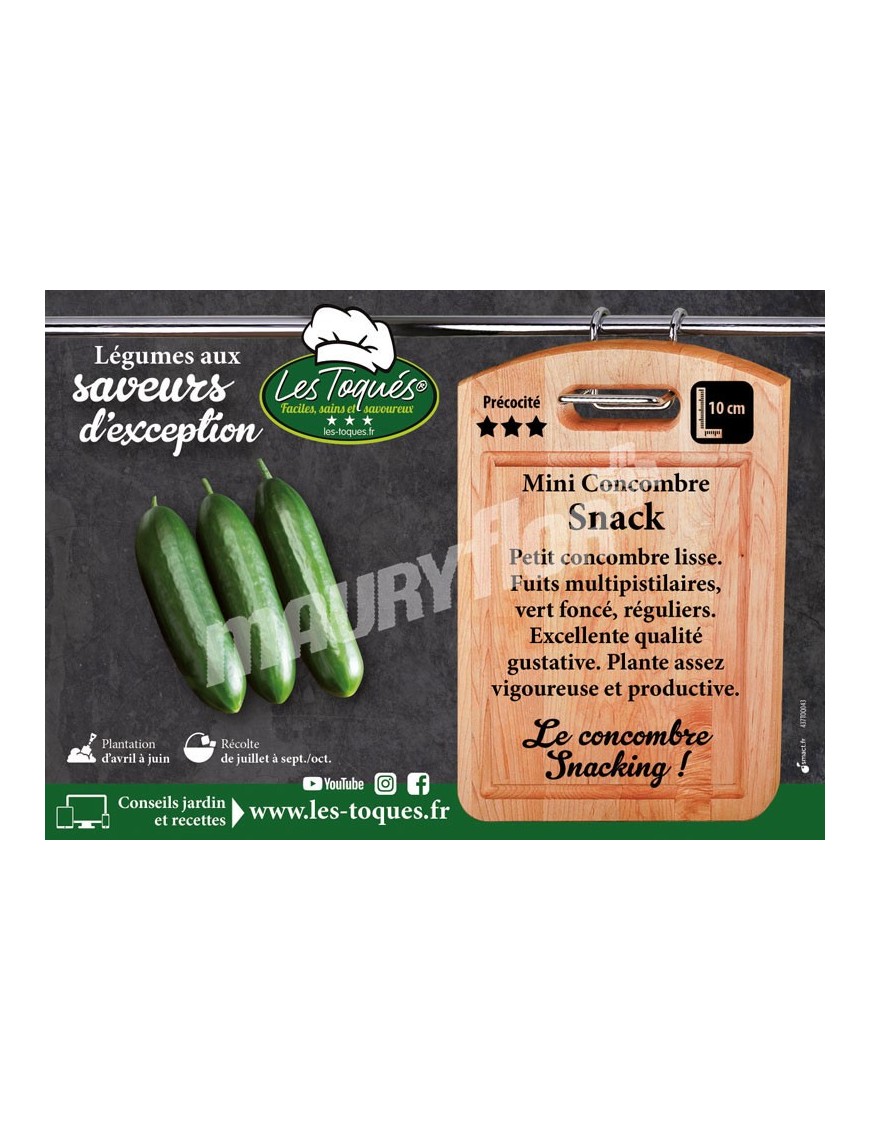 Concombre  Snack F1
