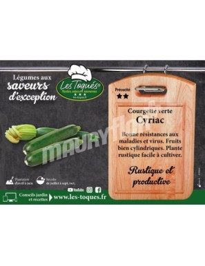 Courgette  Cyriac F1