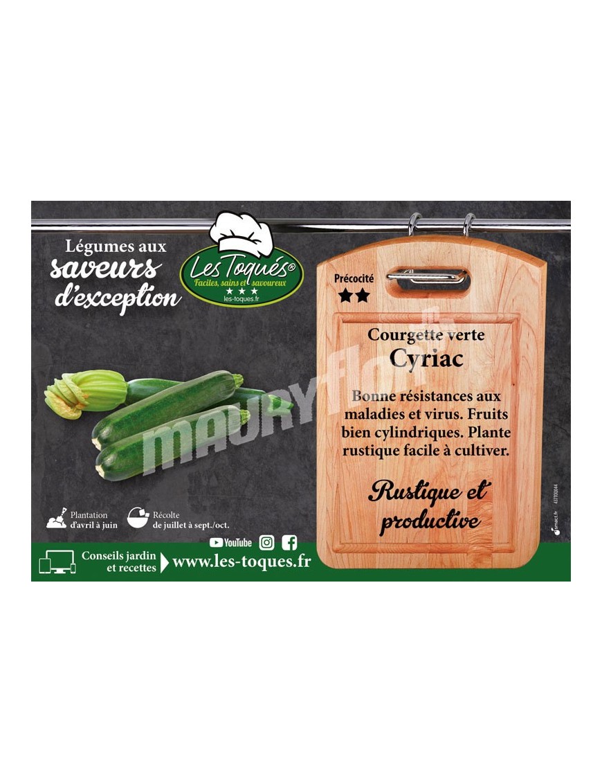 Courgette  Cyriac F1
