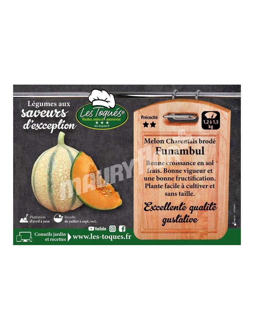 Melon  Funambul F1