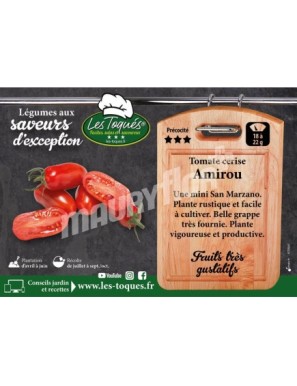 Tomate cerise Amirou F1