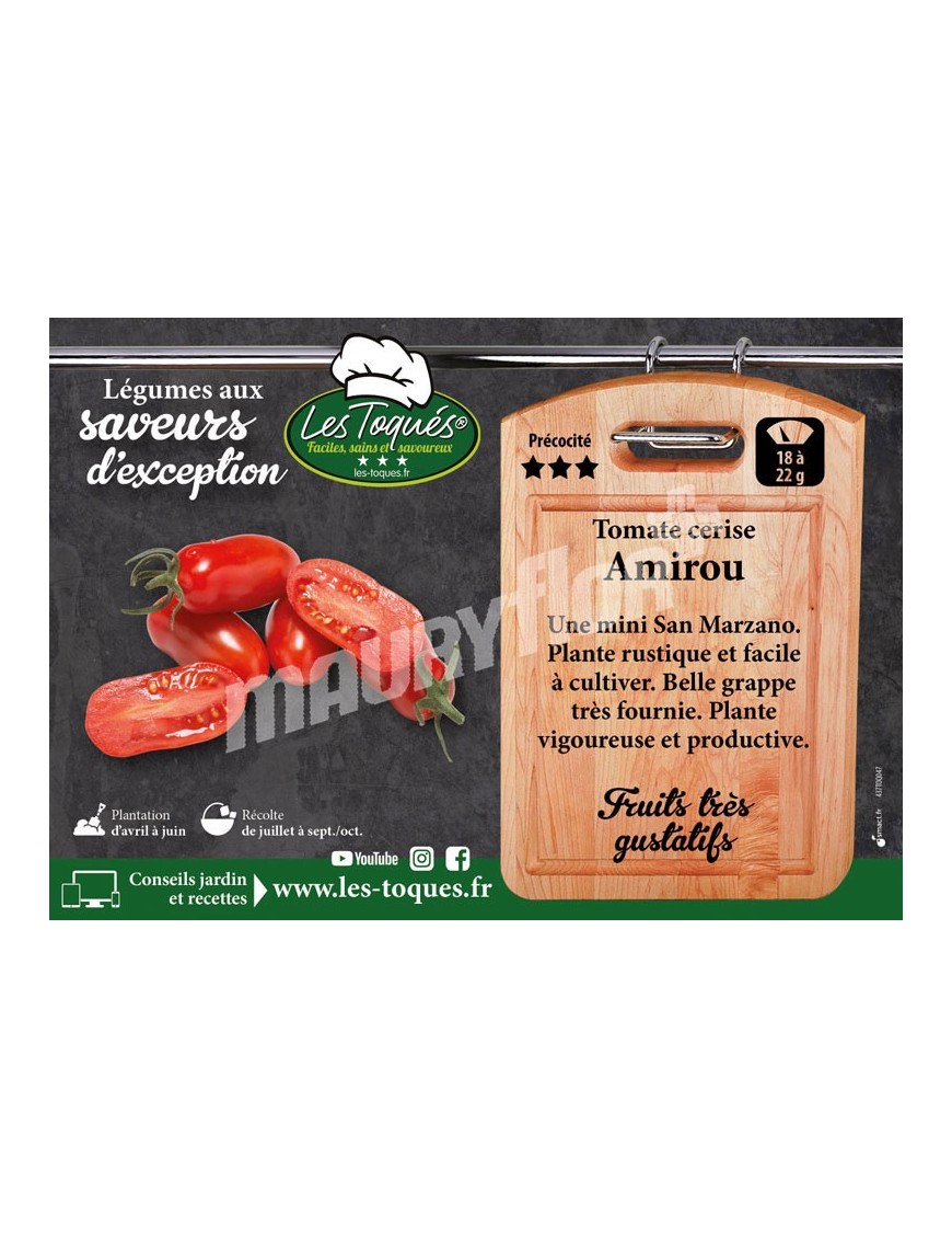 Tomate cerise Amirou F1