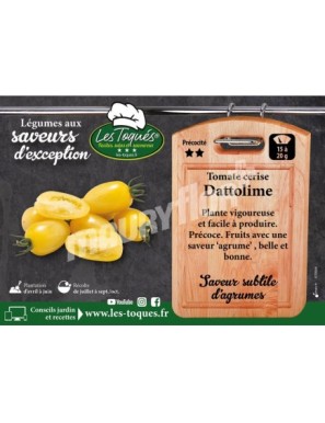 Tomate cerise Dattolime F1