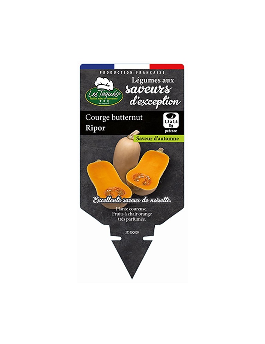 Courge Butternut Ripor