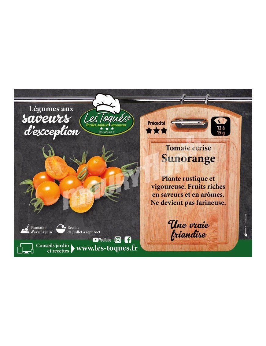 Tomate cerise Sunorange F1