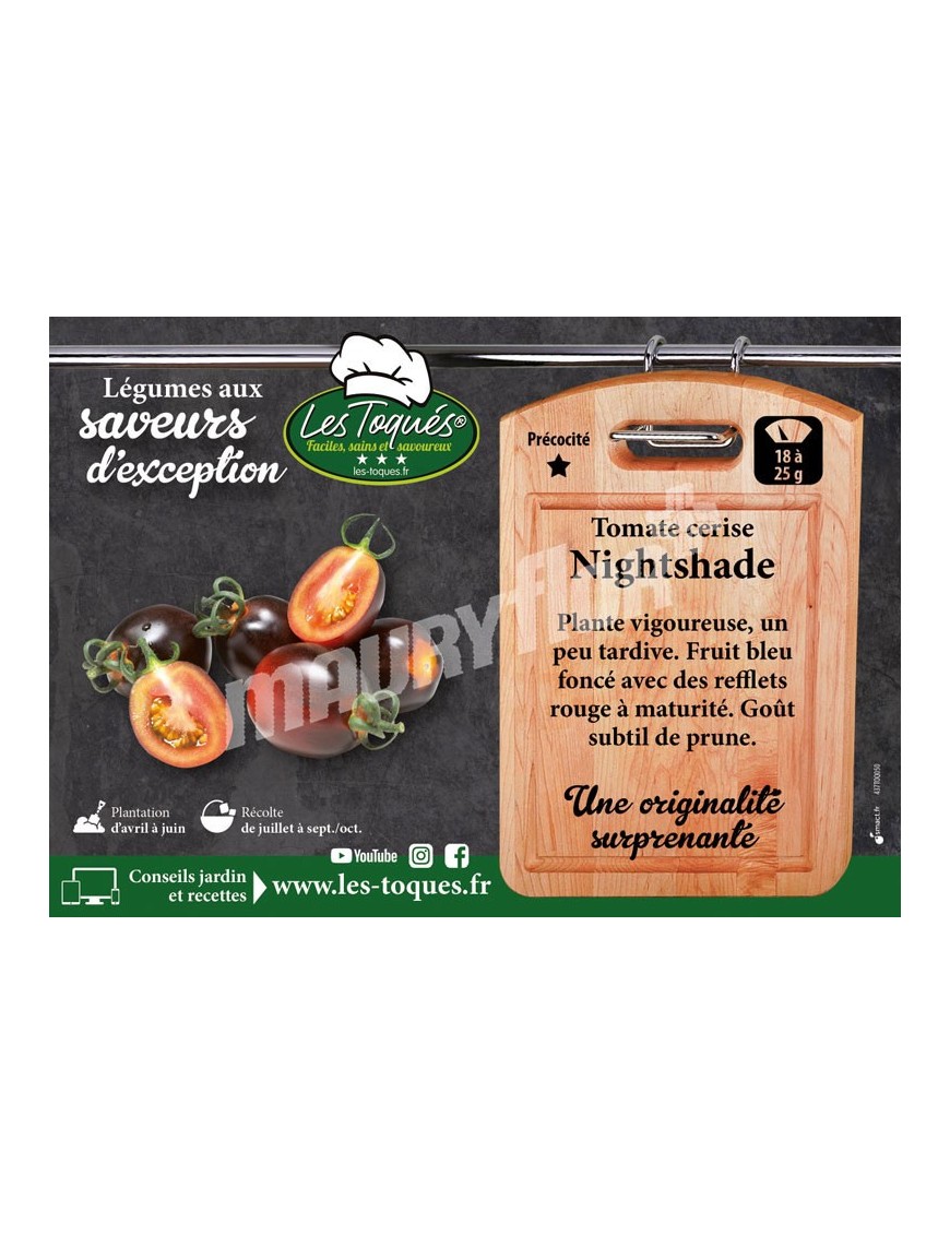 Tomate cerise Nightshade F1