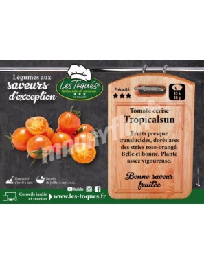 Tomate cerise Tropicalsun F1