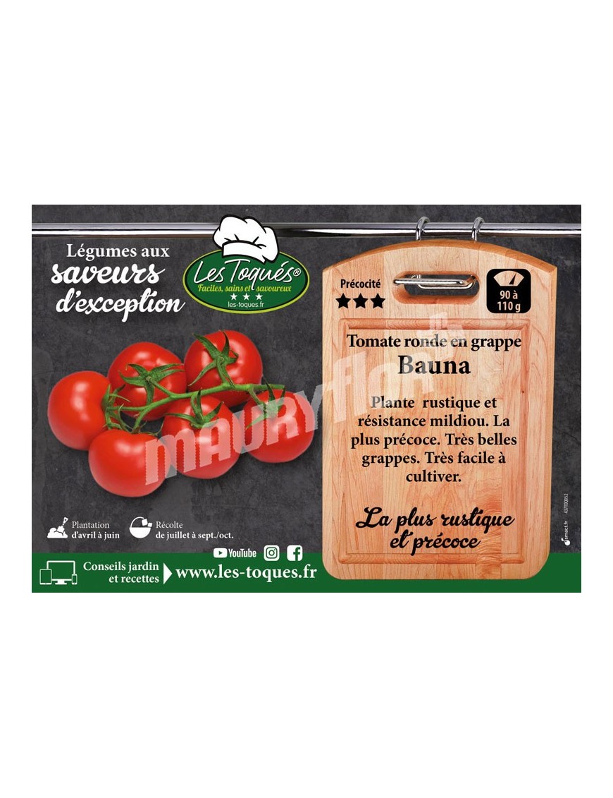 Tomate Bauna F1