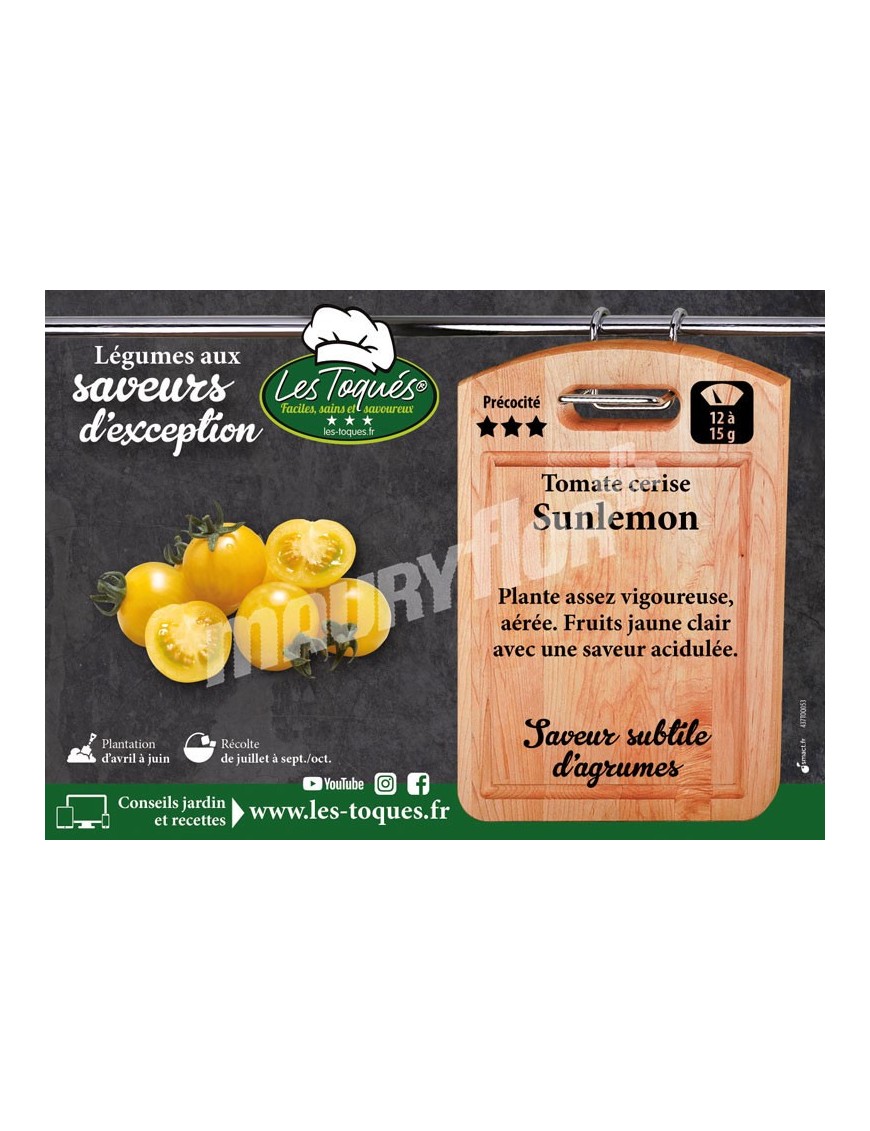 Tomate cerise Sunlemon F1