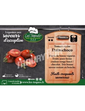 Tomate cerise Dattochoco F1