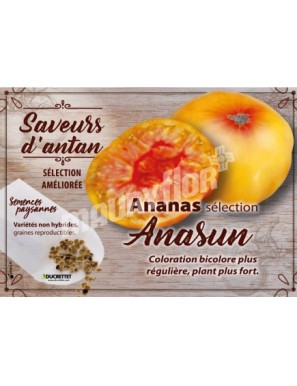 Tomate Ananas Sélection Anasun