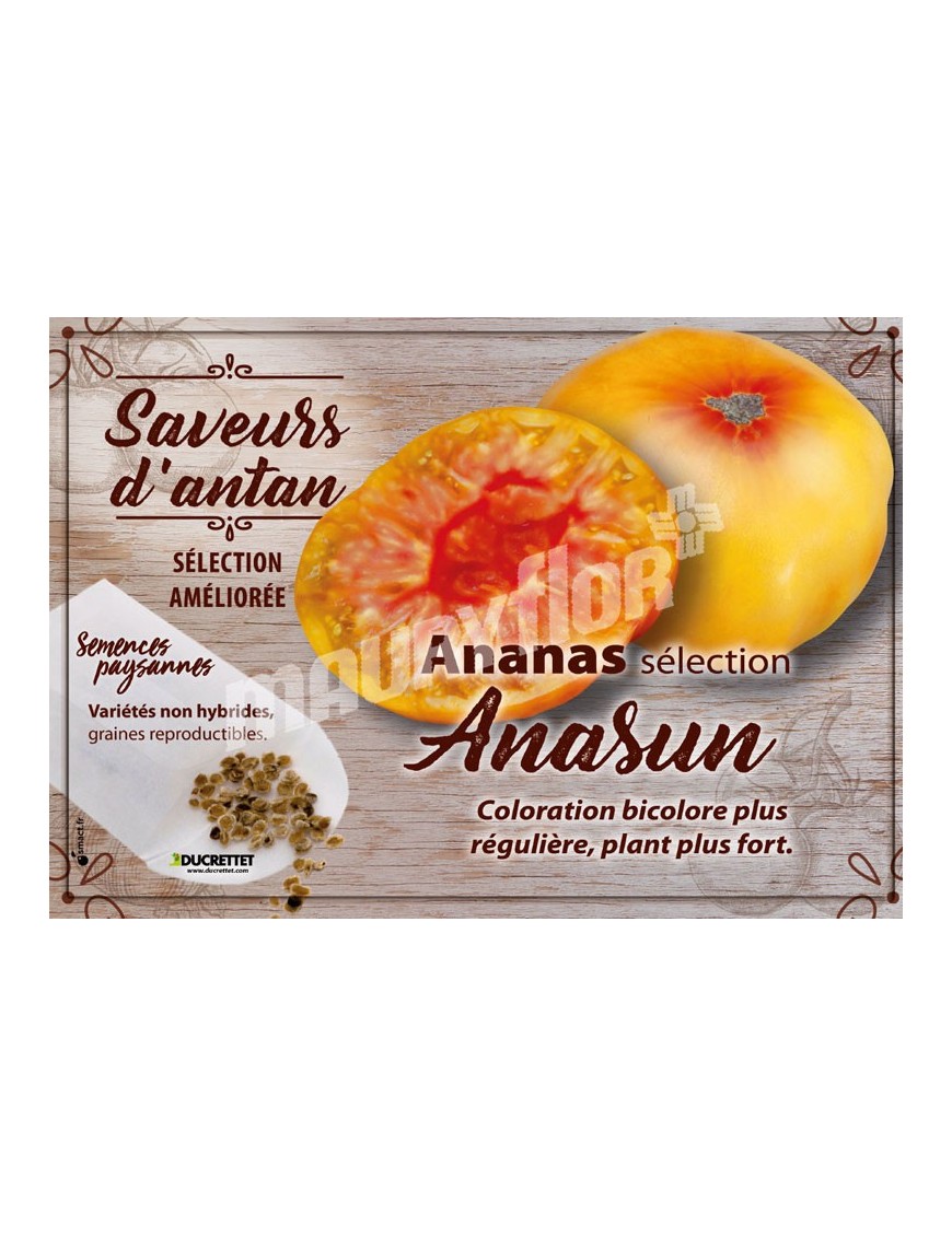 Tomate Ananas Sélection Anasun