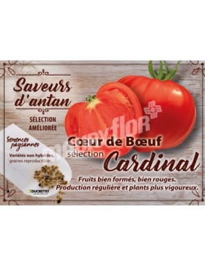 Tomate Cœur de Bœuf sélection Cardinal