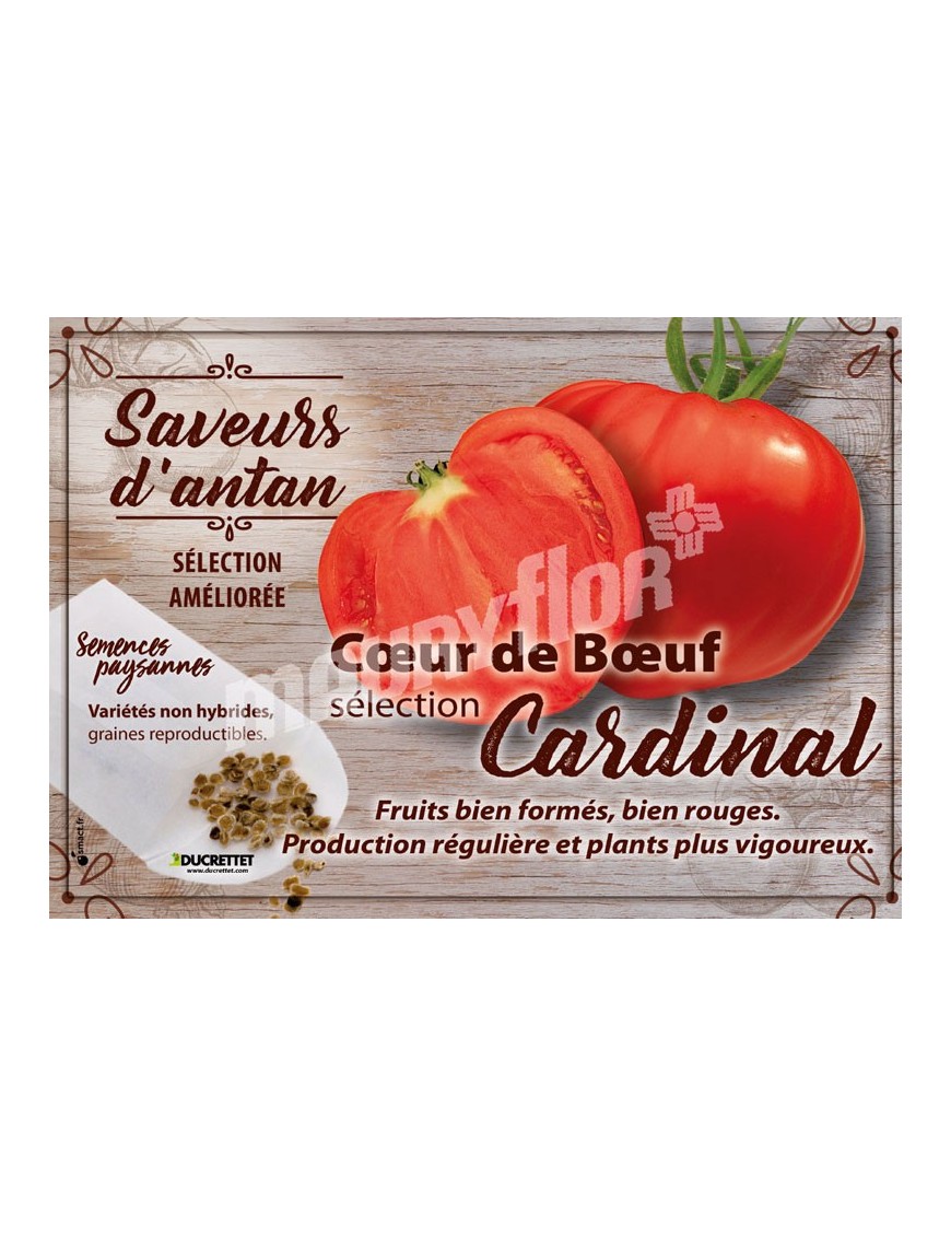 Tomate Cœur de Bœuf sélection Cardinal