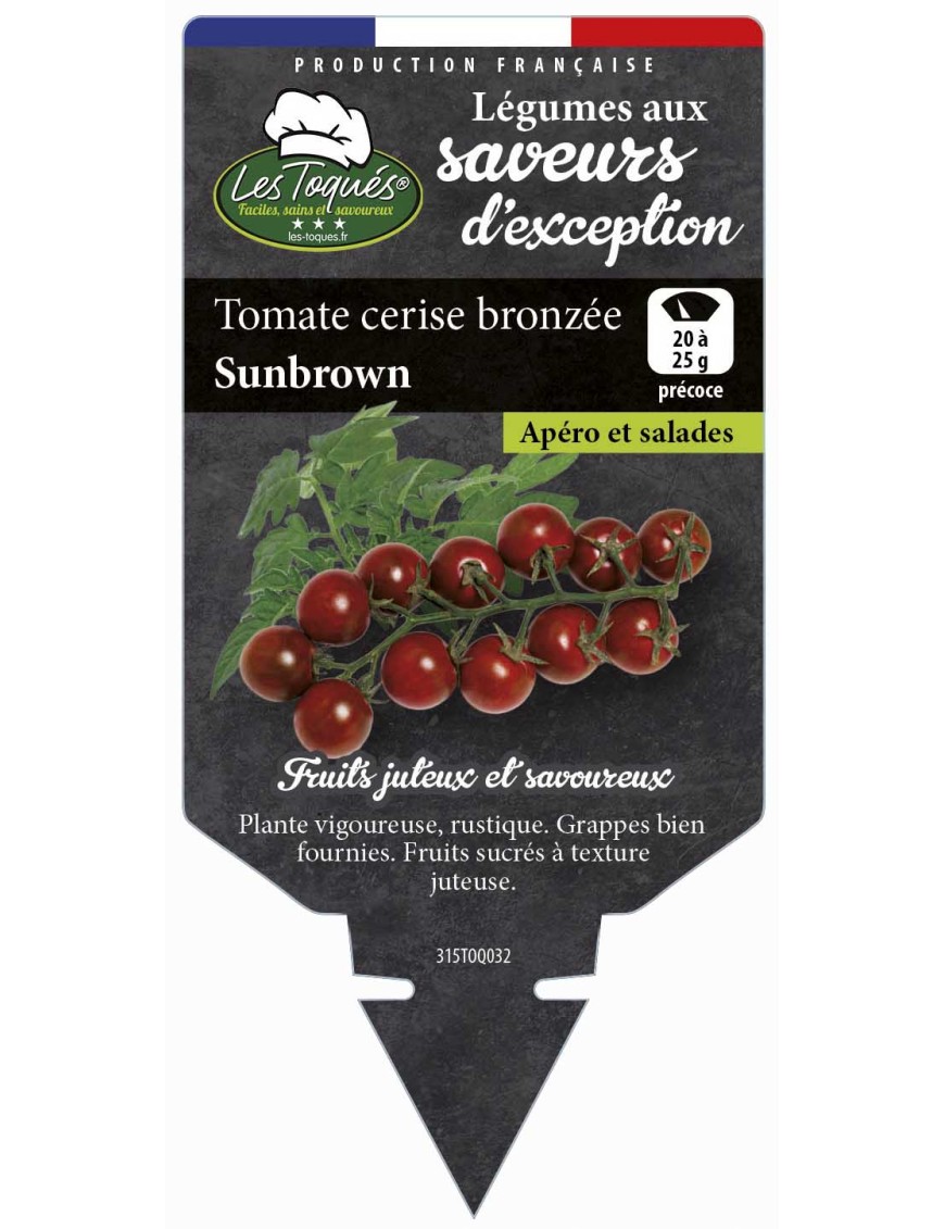 Tomate cerise bonzée Sunbrown