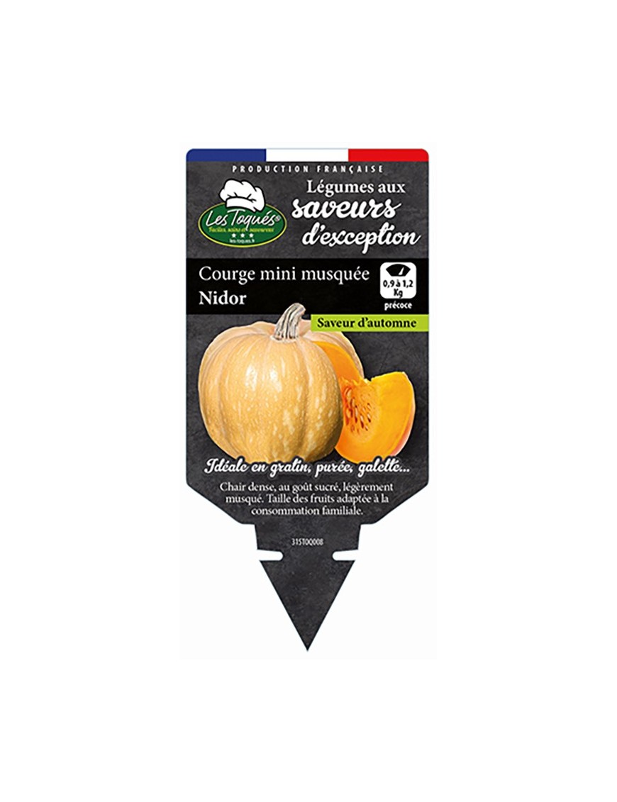 Courge mini musquée Nidor