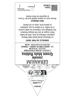 Géranium zonale Survivor Idols Robina