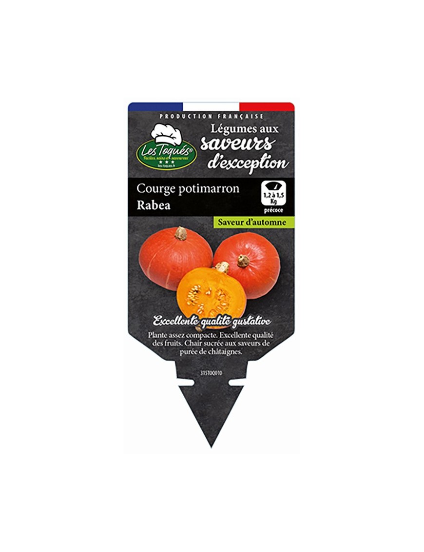 Courge potimarron Rabea