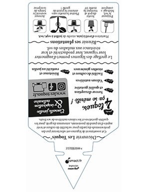 Courgette verte Cyriac  Plant greffé