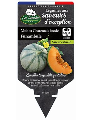 Melon Charentais brodé Funambule