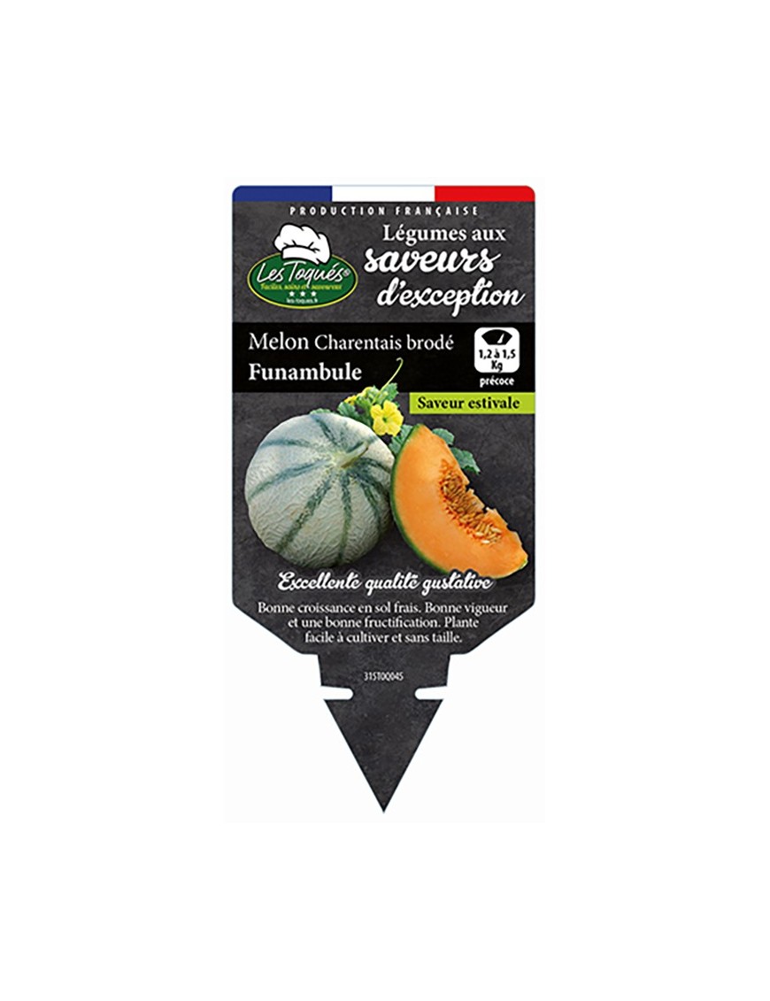 Melon Charentais brodé Funambule