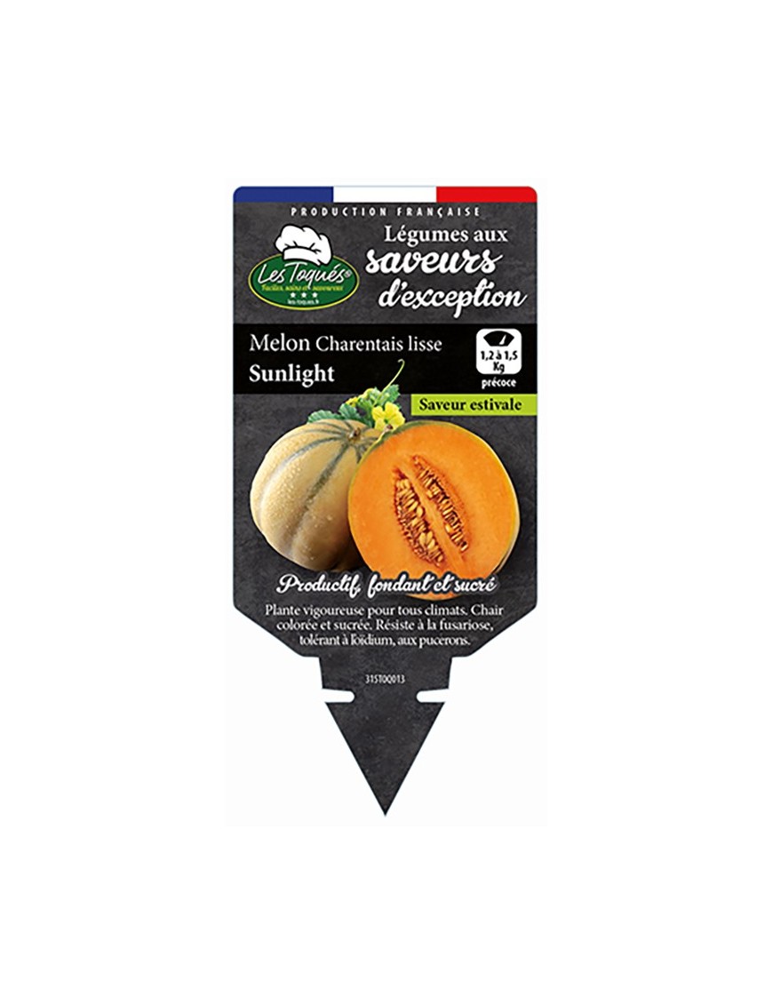 Melon charentais lisse Sunlight