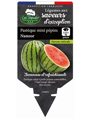 Pastèque mini pépins Nanoor