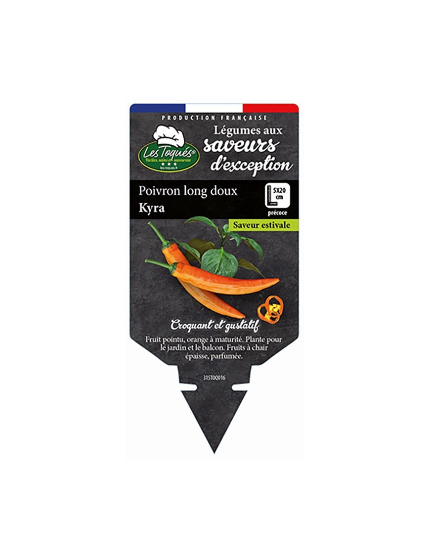 Poivron long doux Kyra