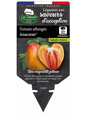 Tomate allongée Anacoeur®