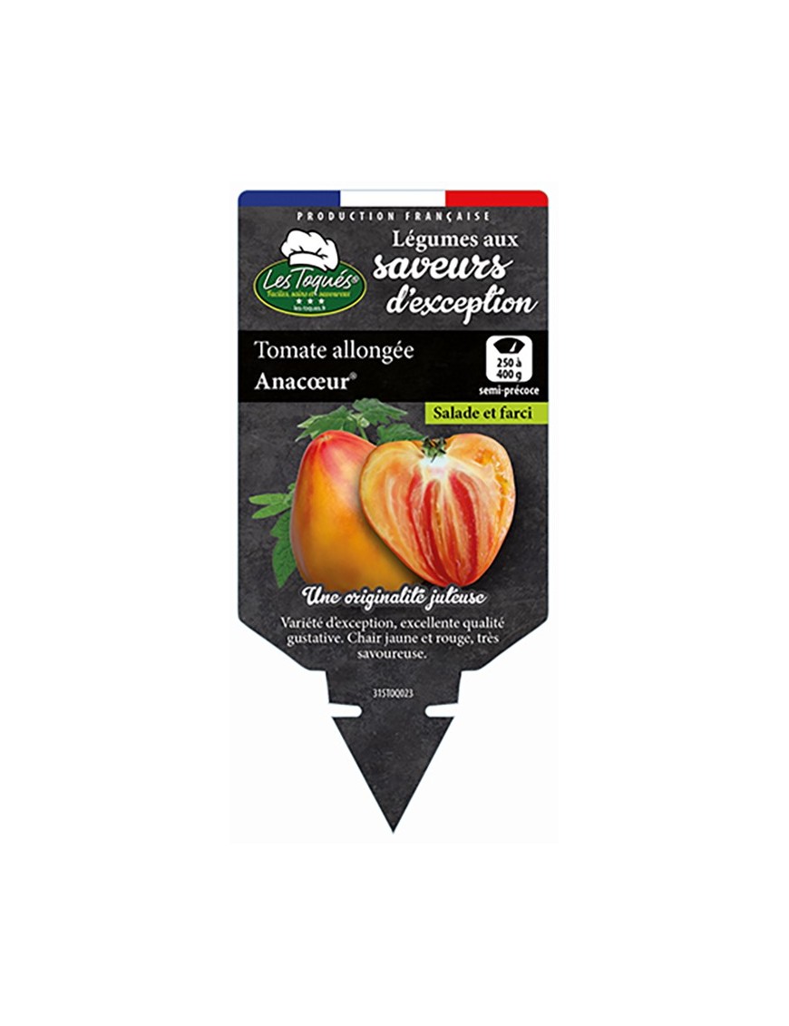 Tomate allongée Anacoeur®