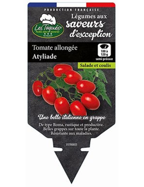 Tomate allongée Atyliade