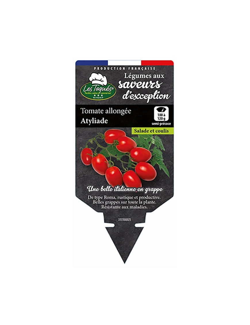 Tomate allongée Atyliade