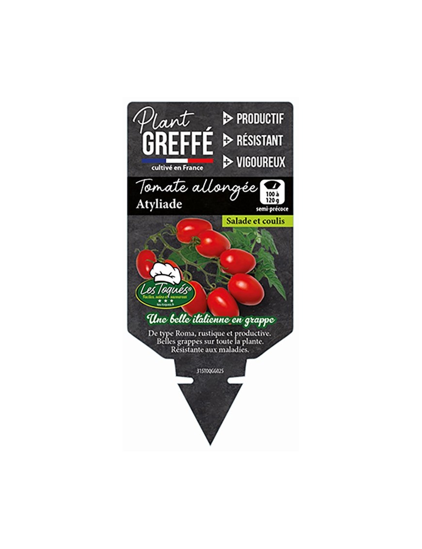 Tomate allongée Atyliade  Plant greffé