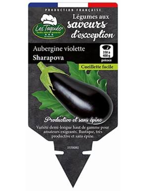 Aubergine violette Sharapova