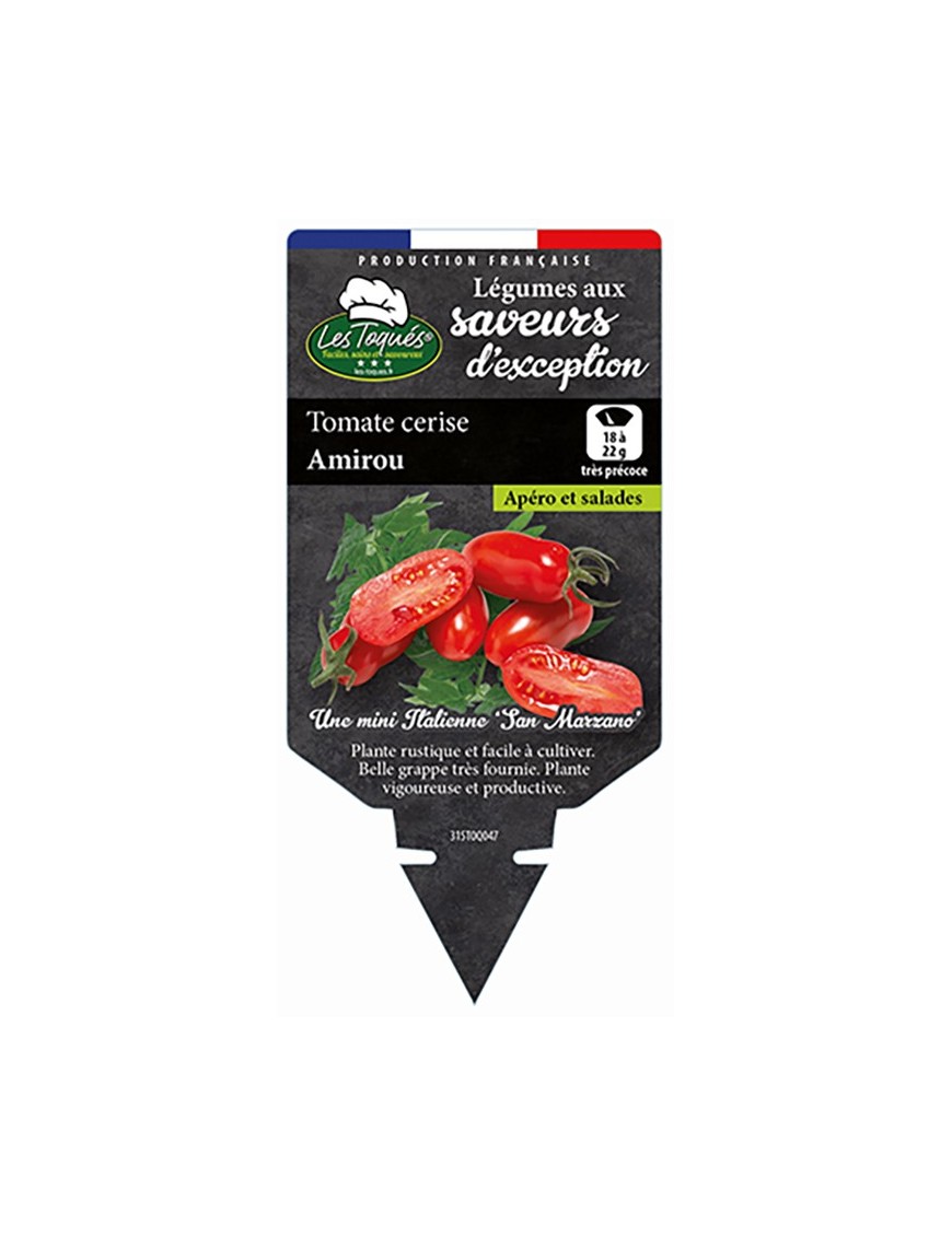 Tomate cerise Amirou