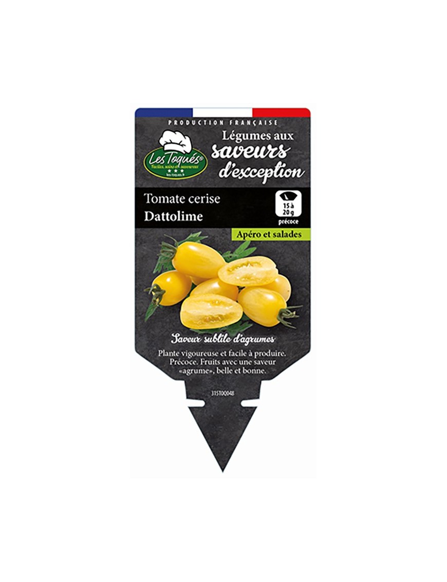 Tomate cerise Dattolime