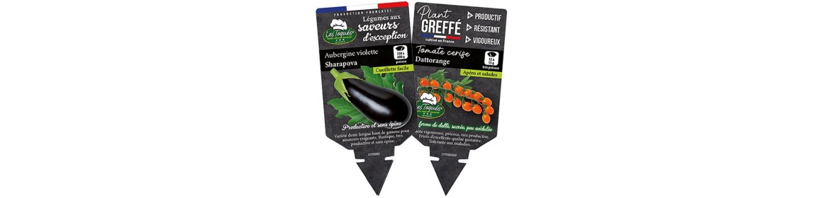 Plants potagers - Les Toqués